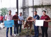Penyaluran hewan kurban Pemkab Bekasi.