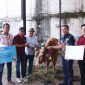 Penyaluran hewan kurban Pemkab Bekasi.