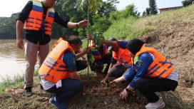 Wawali Bekasi Abdul Harris Bobihoe saat menanam pohon dipinggiran kali Bekasi