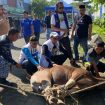 Ketua dan Sekretaris DPD saat kegiatan pemotongan kurban
