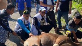 Ketua dan Sekretaris DPD saat kegiatan pemotongan kurban